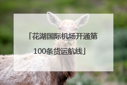 花湖国际机场开通第100条货运航线