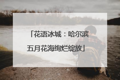 花语冰城：哈尔滨五月花海绚烂绽放