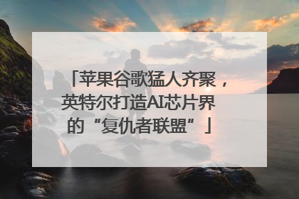 苹果谷歌猛人齐聚，英特尔打造AI芯片界的“复仇者联盟”