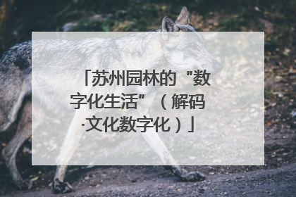 苏州园林的“数字化生活”（解码·文化数字化）