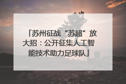 苏州征战“苏超”放大招：公开征集人工智能技术助力足球队