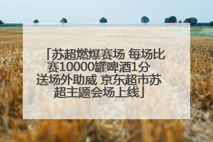 苏超燃爆赛场 每场比赛10000罐啤酒1分送场外助威 京东超市苏超主题会场上线