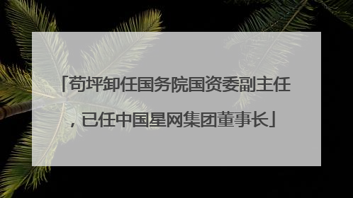 苟坪卸任国务院国资委副主任，已任中国星网集团董事长