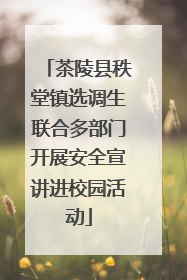 茶陵县秩堂镇选调生联合多部门开展安全宣讲进校园活动