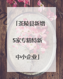 茶陵县新增5家专精特新中小企业