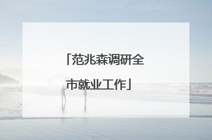 范兆森调研全市就业工作