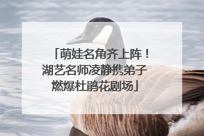 萌娃名角齐上阵！湖艺名师凌静携弟子燃爆杜鹃花剧场