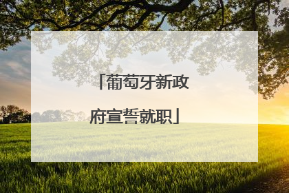 葡萄牙新政府宣誓就职