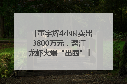 董宇辉4小时卖出3800万元，潜江龙虾火爆“出圈”
