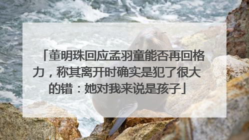 董明珠回应孟羽童能否再回格力，称其离开时确实是犯了很大的错：她对我来说是孩子