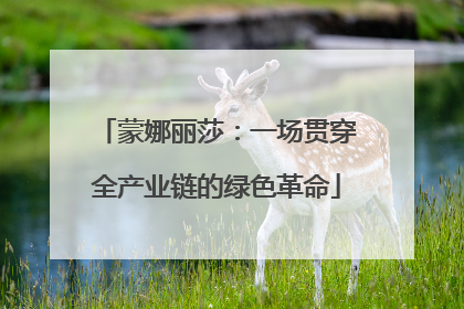蒙娜丽莎：一场贯穿全产业链的绿色革命