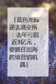 蓝色光标递表港交所：去年亏损近3亿元，要抓住出海跨境营销机遇