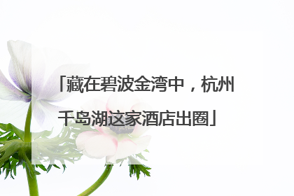 藏在碧波金湾中，杭州千岛湖这家酒店出圈