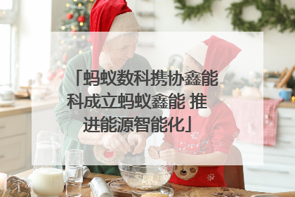 蚂蚁数科携协鑫能科成立蚂蚁鑫能 推进能源智能化