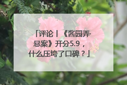 评论丨《酱园弄·悬案》开分5.9，什么压垮了口碑？