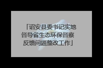 诏安县委书记实地督导省生态环保督察反馈问题整改工作