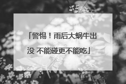 警惕！雨后大蜗牛出没 不能碰更不能吃