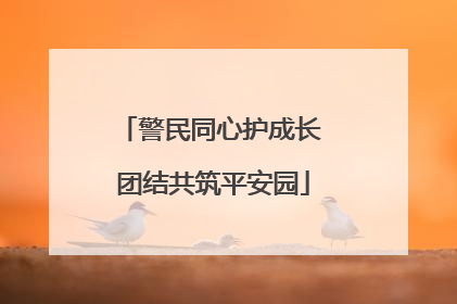 警民同心护成长 团结共筑平安园