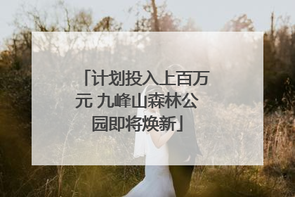 计划投入上百万元 九峰山森林公园即将焕新