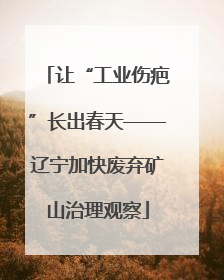 让“工业伤疤”长出春天——辽宁加快废弃矿山治理观察
