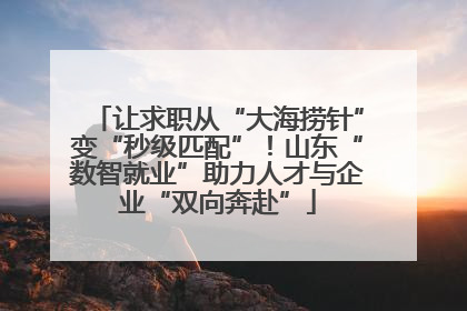 让求职从“大海捞针”变“秒级匹配”！山东“数智就业”助力人才与企业“双向奔赴”