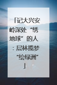 记大兴安岭深处“绣地球”的人：层林揽梦“绘绿洲”