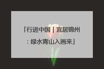 行进中国｜宜居锦州：绿水青山入画来