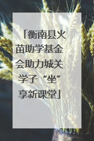 衡南县火苗助学基金会助力城关学子“坐”享新课堂