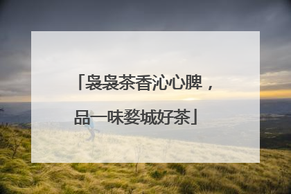 袅袅茶香沁心脾，品一味婺城好茶