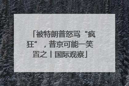 被特朗普怒骂“疯狂”，普京可能一笑置之丨国际观察
