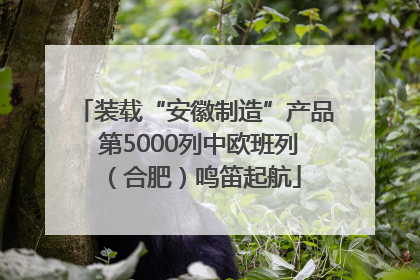 装载“安徽制造”产品 第5000列中欧班列（合肥）鸣笛起航