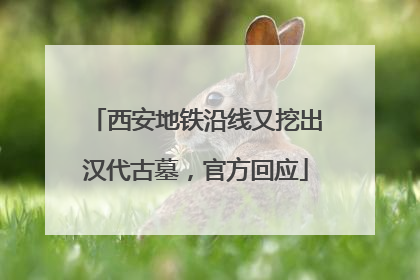 西安地铁沿线又挖出汉代古墓，官方回应