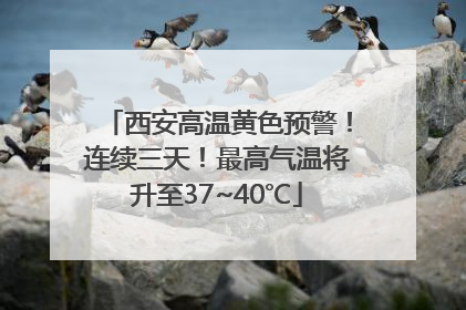 西安高温黄色预警！连续三天！最高气温将升至37~40℃