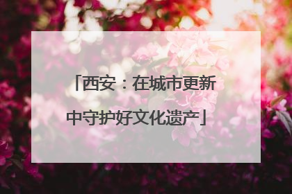 西安：在城市更新中守护好文化遗产