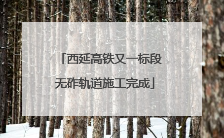 西延高铁又一标段无砟轨道施工完成