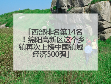 西部排名第14名！绵阳高新区这个乡镇再次上榜中国镇域经济500强