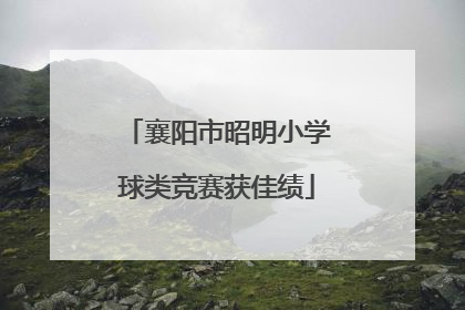 襄阳市昭明小学球类竞赛获佳绩