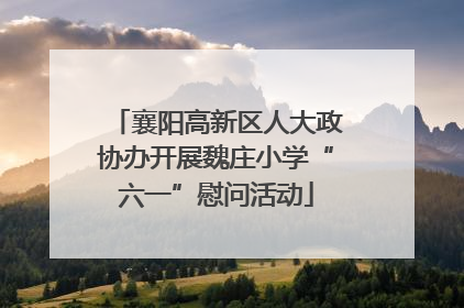 襄阳高新区人大政协办开展魏庄小学“六一”慰问活动