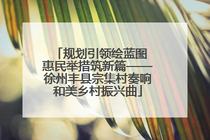 规划引领绘蓝图 惠民举措筑新篇——徐州丰县宗集村奏响和美乡村振兴曲