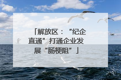 解放区：“纪企直通”打通企业发展“肠梗阻”