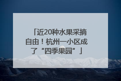 近20种水果采摘自由！杭州一小区成了“四季果园”