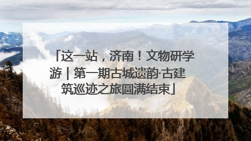 这一站，济南！文物研学游｜第一期古城遗韵·古建筑巡迹之旅圆满结束