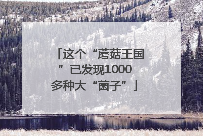 这个“蘑菇王国”已发现1000多种大“菌子”