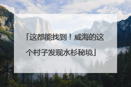 这都能找到！威海的这个村子发现水杉秘境