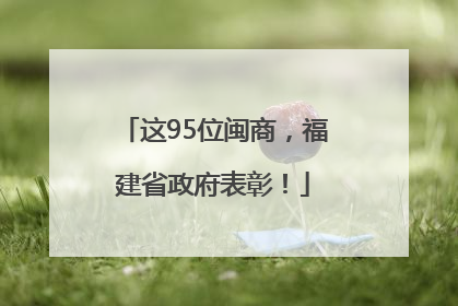 这95位闽商，福建省政府表彰！