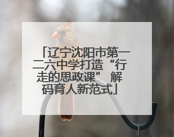 辽宁沈阳市第一二六中学打造“行走的思政课” 解码育人新范式