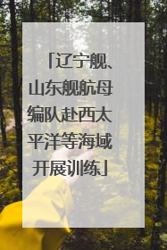辽宁舰、山东舰航母编队赴西太平洋等海域开展训练