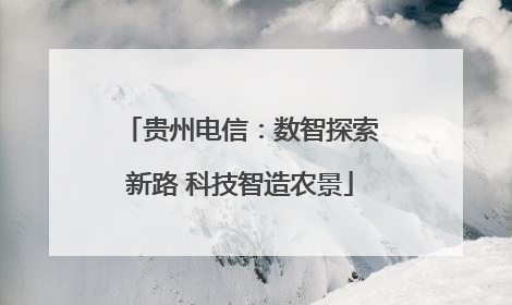 贵州电信：数智探索新路 科技智造农景