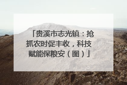贵溪市志光镇：抢抓农时促丰收，科技赋能保粮安（图）