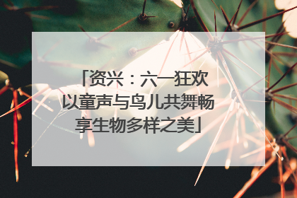 资兴：六一狂欢 以童声与鸟儿共舞畅享生物多样之美